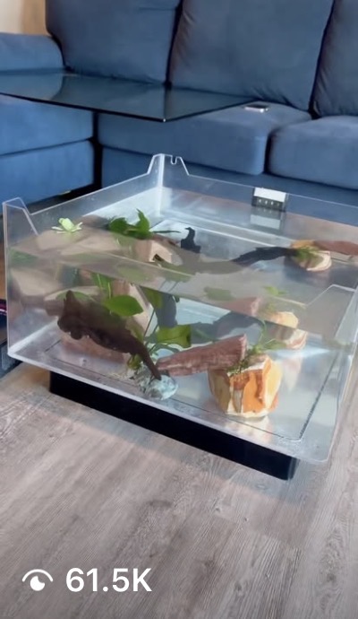 Custom fish tank furniture feature